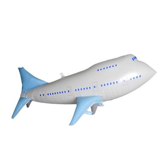 Passenger aircraft