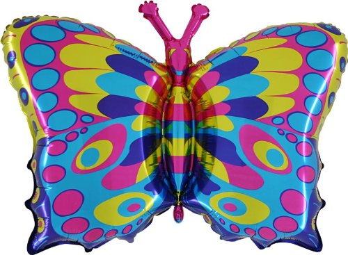 Schmetterling bunt