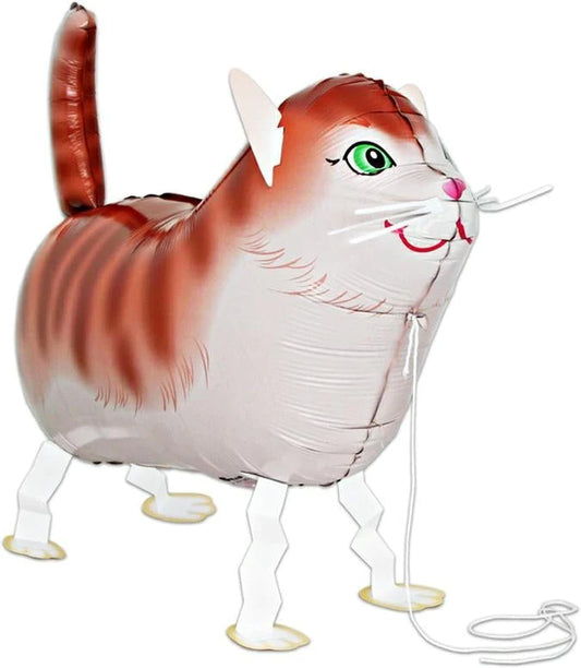 AW cat