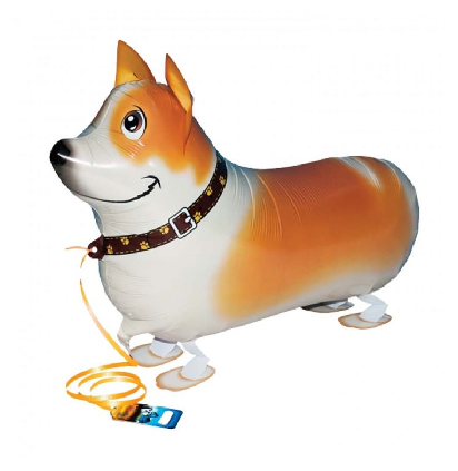 AW Corgi